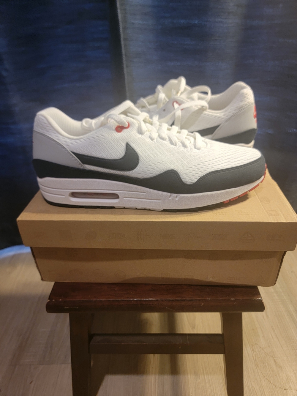 Nike Air Max 1 EM